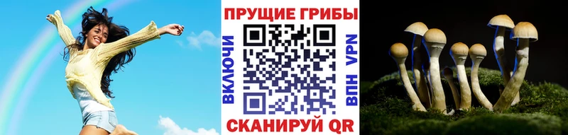 Галлюциногенные грибы мицелий  Магадан 